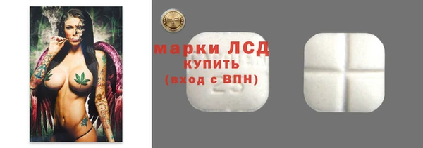 сатива Магадан
