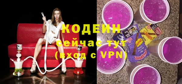 прущие грибы Анжеро-Судженск