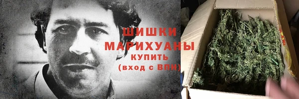 сатива Магадан