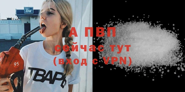 сатива Магадан